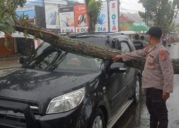 Akibat Cuaca Buruk, Satu Mobil Tertimpa Pohon Tumbang di Kolaka