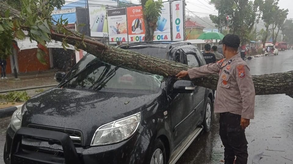 Akibat Cuaca Buruk, Satu Mobil Tertimpa Pohon Tumbang di Kolaka