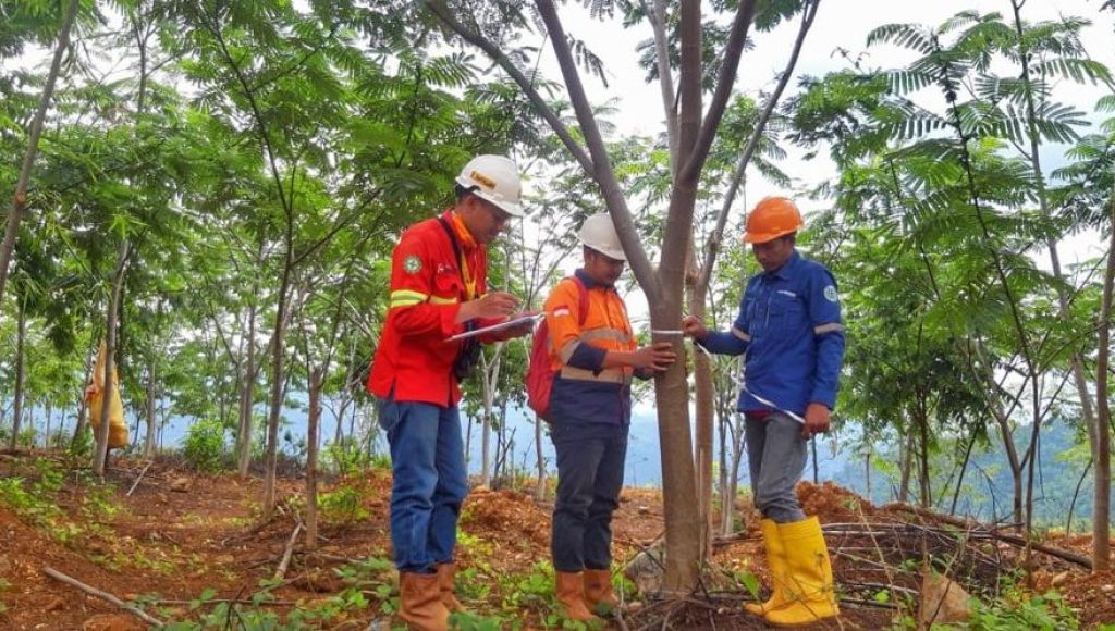 Manajemen PT CNI Pastikan Ganti Rugi Tanam Tumbuh Sesuai SK Dinas Perkebunan Kolaka