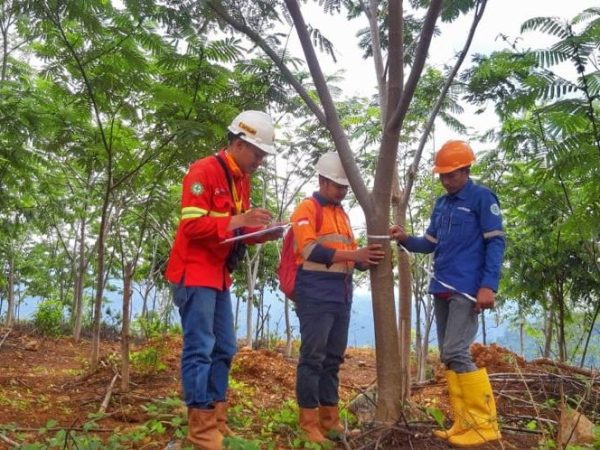 Manajemen PT CNI Pastikan Ganti Rugi Tanam Tumbuh Sesuai SK Dinas Perkebunan Kolaka