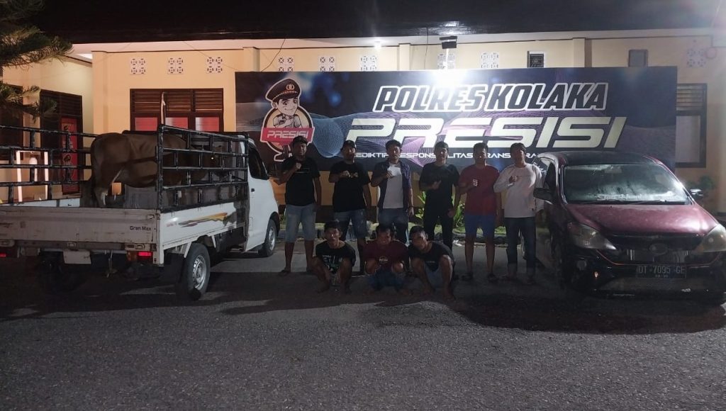 Polisi Berhasil Amankan Tiga Pelaku Pencurian Sapi di Kolaka