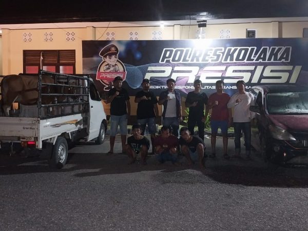 Polisi Berhasil Amankan Tiga Pelaku Pencurian Sapi di Kolaka