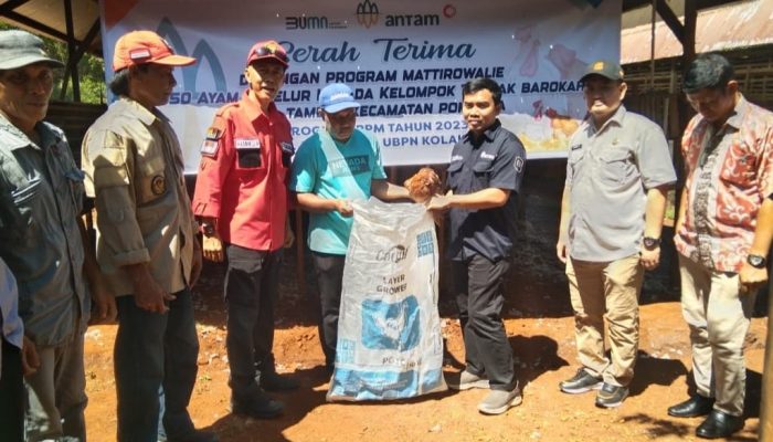PT Antam UBPN Kolaka Serahkan Ribuan Ayam Petelur