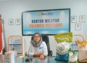 Hingga 2024, Stok Beras di Sultra Masih Aman