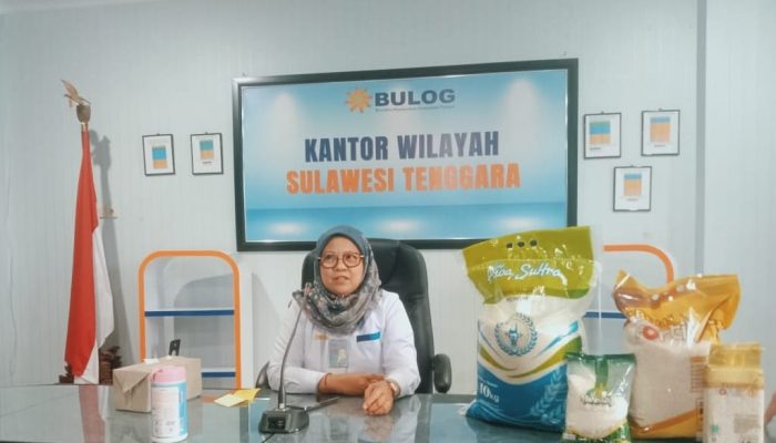 Hingga 2024, Stok Beras di Sultra Masih Aman