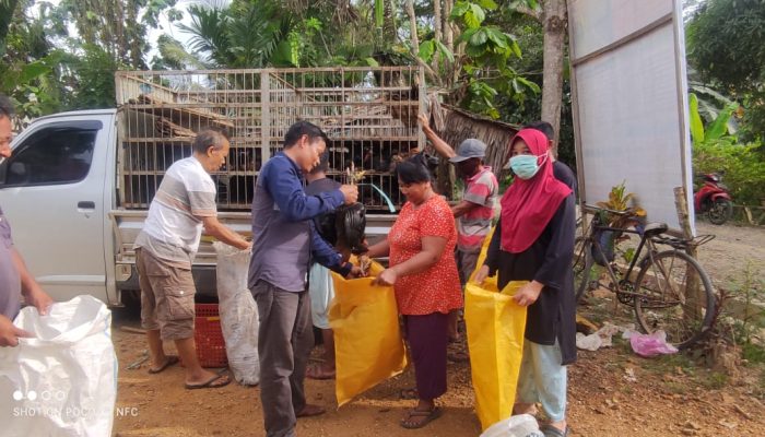 DD Tahap Satu dan Dua, Ini yang di Lakukan Kades Wowalahombuti