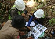 Biodiversitas Pulau Wawonii Terjaga, Sektor Swasta Ambil Peran Penting