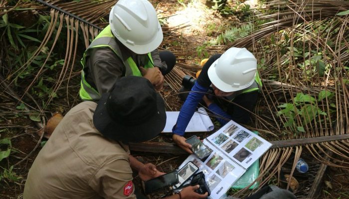 Biodiversitas Pulau Wawonii Terjaga, Sektor Swasta Ambil Peran Penting