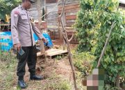 Pria Setengah Baya di Temukan Meninggal di Kebunnya