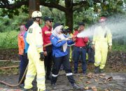 PT Vale Gaet PPI KLHK Antisipasi Kebakaran Hutan dan Lahan di Luwu Timur
