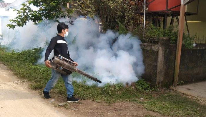 Dinkes Konawe Lakukan Foging Pencegahan DBD