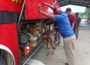 Gunakan Bantuan 6 Anjing K9, Dittipid Narkoba Bareskrim Polri Amankan 8 Tersangka Beserta Barang Bukti