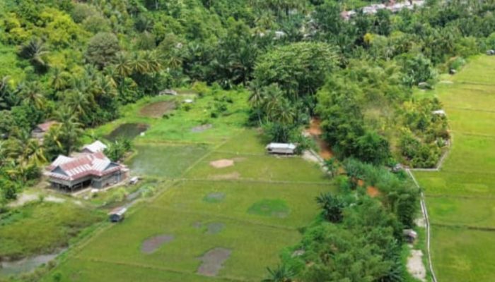Air Laut Tercemar Limbah Tambang PT RJL, Nelayan di Kolut Kesulitan Cari Ikan