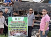 DD 2024 Cair, Kades Lahongumbi Mulai Jalankan Program Kerja