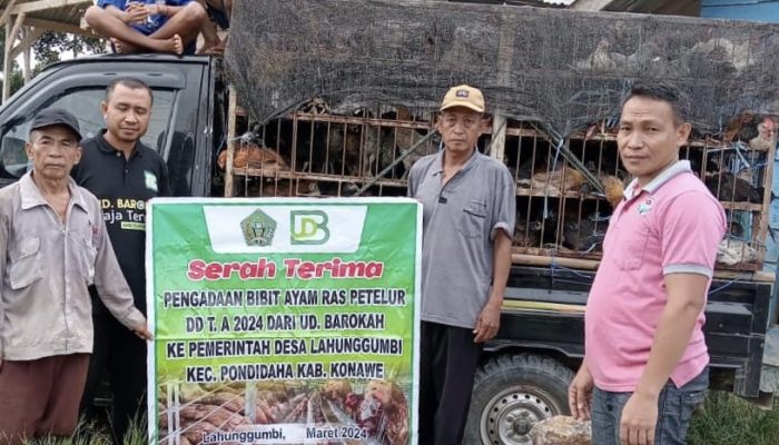 DD 2024 Cair, Kades Lahongumbi Lakukan Mulai Jalankan Program Kerja