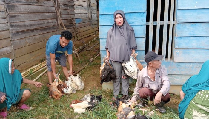 DD 2024 Cair, Kades Lahongumbi Lakukan Mulai Jalankan Program Kerja