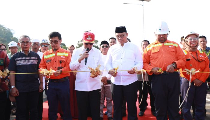 Resmikan Jalan Layang Terpanjang di Luwu Timur, Bupati: Simbol Kemajuan dan Kesejahteraan Bagi Masyarakat