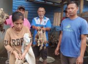 Berikut Program Kerja Desa Wowalahombuti