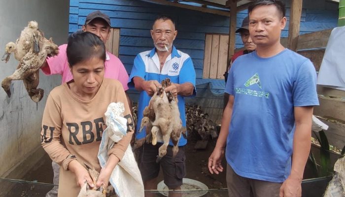Berikut Program Kerja Desa Wowalahombuti