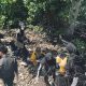 Peduli lingkungan ; Give Share Care Bersama Puluhan SMAN Kendari Bersihkan Sampah Dikawasan Kebi dan Anjungan Teluk Kendari