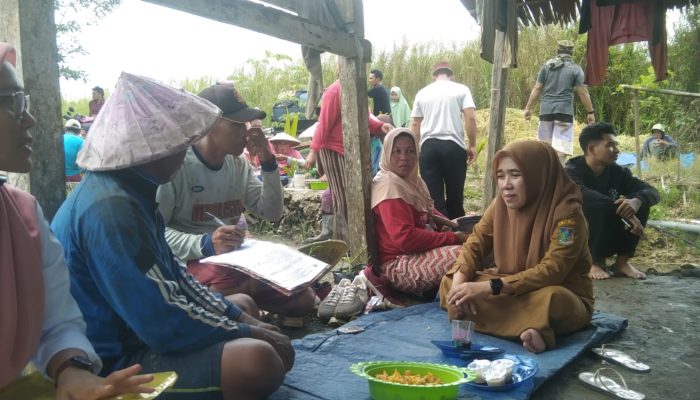 Dinas Pertanian Konkep, Monitoring Dengarkan Kendala Para Petani Padi