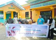 Rayakan Idul Adha 1445 H, ANTAM Salurkan 11 Ekor Sapi Kurban Untuk Masyarakat Pomalaa dan Kolaka