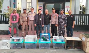 Puluhan Hewan Endemik Dievakuasi BKSDA Sultra