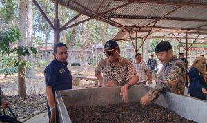 PJ Bupati Kolut Berkunjung ke Puslitkoka Jember, Belajar Kakao Diolah Jadi Produk Coklat