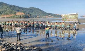 Peringati HUT RI, PT Ceria Gelar Green Fun Run 5K dan Penanaman Mangrove