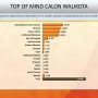 Survei Media Track & Strategi Yulia Umar Samiun Top Of Mind Calon Walikota Baubau
