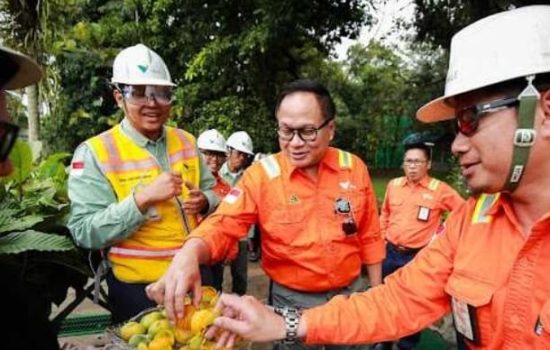 PT Vale Berhasil Jawab Tantangan di Era Keberlanjutan