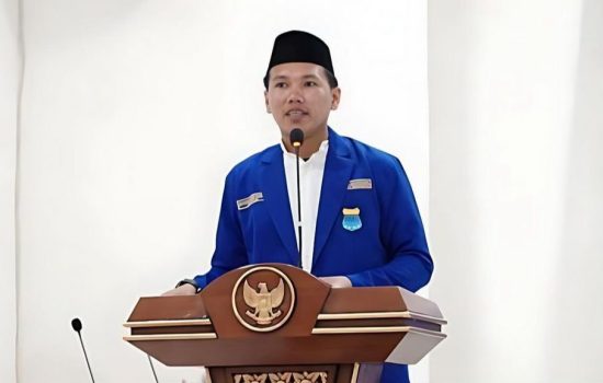 PMII Konawe Harap Bupati dan Wakil Terpilih Wujudkan PTN di Konawe