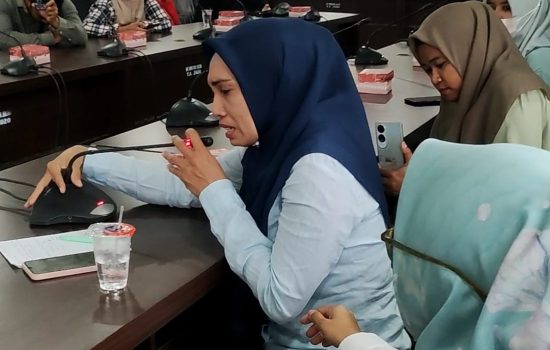 Ratusan Nama Nakes Hilang dari Database Calon PPPK, DPRD Sultra Rekomendasikan Pemerintah Tunda Tes