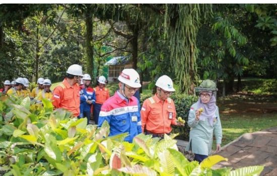 Dorong Industri Pertambangan Hijau, PT Vale Jadi Pionir Pengguna BBM Pertamina yang Ramah Lingkungan 