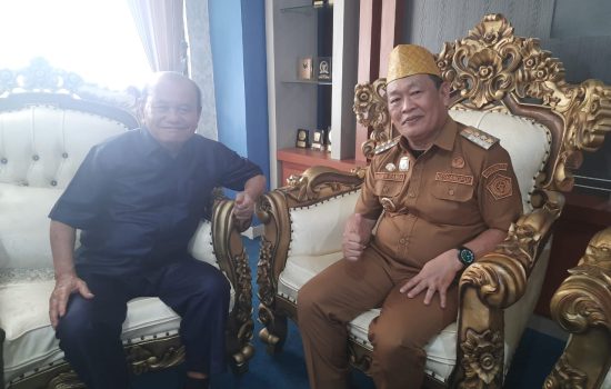 Pilkada 2024, Ini Alasan Dosen STIK Mandala Waluya Dukung Harmin Ramba