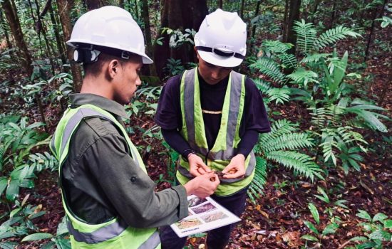 Masuk Nominasi Proper Hijau, PT GKP: Kerja Sama Kunci Lestarikan Lingkungan Wawonii