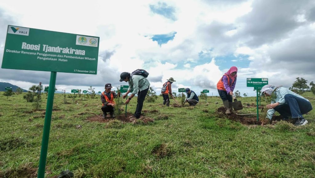 Hadirkan Masa Depan Berkelanjutan, PT Vale Dukung Rehabilitasi DAS di Sulawesi Selatan