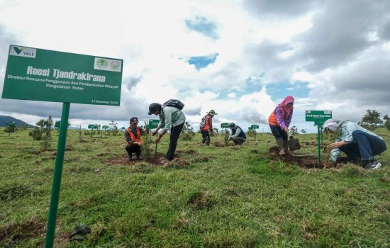 Hadirkan Masa Depan Berkelanjutan, PT Vale Dukung Rehabilitasi DAS di Sulawesi Selatan
