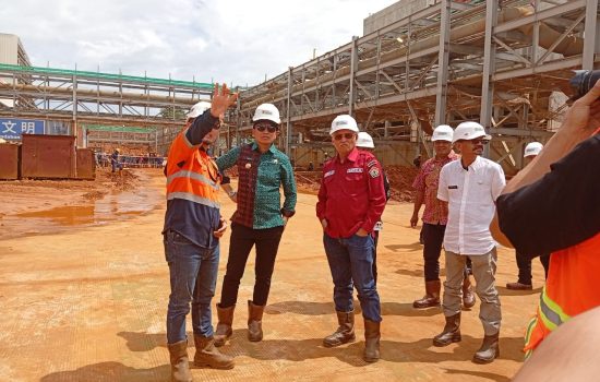 Investasi PMDN, Smelter Ceria Group Siap Hasilkan Green Nickel Product