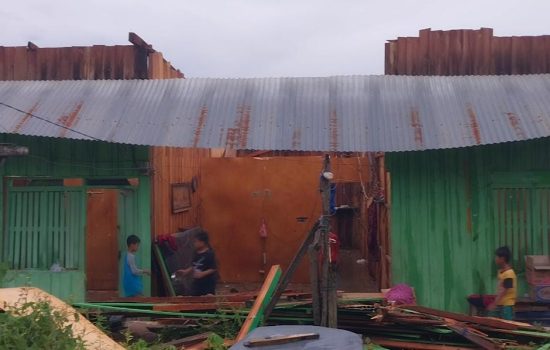 Akibat Angin Kencang Disertai Hujan di Kolaka, Sejumlah Rumah Rusak dan Pohon Tumbang