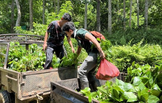 Komitmen PT GKP Jalankan Kewajiban Lingkungan
