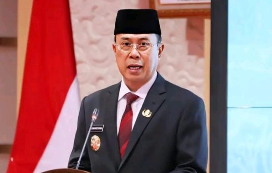 Gubernur Sultra Lantik Pengurus TP PKK 2025-2030, Fokus UMKM dan Stunting
