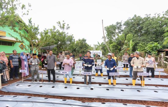 ANTAM dan USN Kolaka Gagas Program Konasara di Pelambua