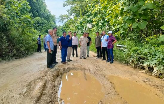 Sejumlah Titik Ruas Jalan Provinsi di Butur Mulai Diperbaiki