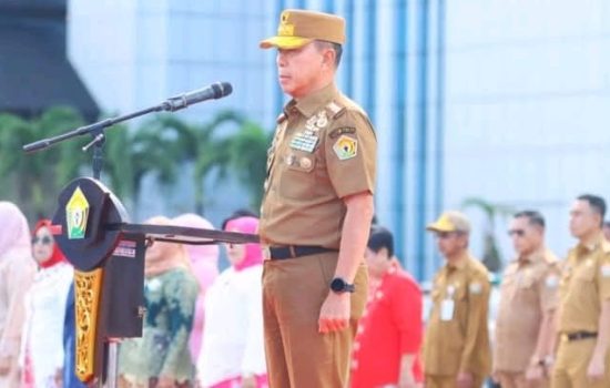 Gubernur Sultra: Perempuan Tangguh, Sultra Maju
