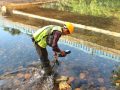 Cegah Dampak Musim Hujan, PT GKP Siapkan Strategi Water Management