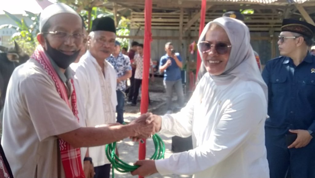 Wabup Safia Wualo Serahkan Sapi ke Pengurus Masjid Jami Syuhada: Bantuan Ini dari Presiden Prabowo
