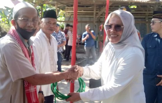 Wabup Safia Wualo Serahkan Sapi ke Pengurus Masjid Jami Syuhada: Bantuan Ini dari Presiden Prabowo