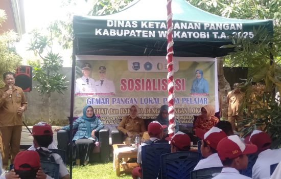 Kolaborasi Dinas Ketahanan Pangan-TP PKK Wakatobi Gelar Festival Pangan Lokal B2SA
