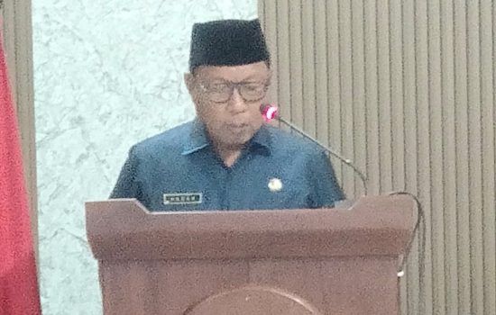 Pemda Lirik Sriwijaya Air untuk terbang ke Wakatobi
